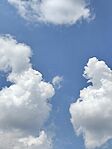 IMG_20240723_125058