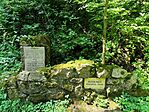 IMG_20240724_110502