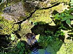 IMG_20240724_110545