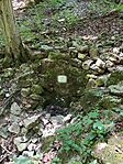 IMG_20240727_120907