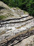 IMG_20240701_124819