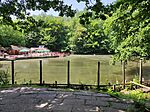 IMG_20240701_130841