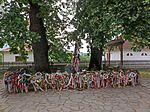 IMG_20240702_075846