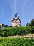 IMG_20240702_105448