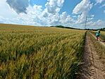 IMG_20240608_150141925_HDR