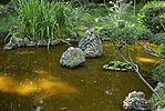 IMG_6756_1