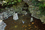 IMG_6745_1