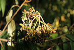 IMG_6791_1
