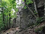 IMG_20240706_104924