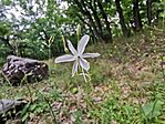 IMG_20240706_085118