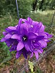 IMG_20240706_085822