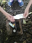 IMG_20200618_132019