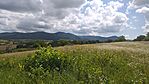 panoráma