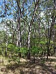 IMG_20240703_133230