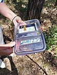 IMG_20240703_132523