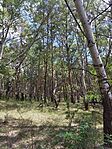 IMG_20240703_132945
