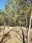 IMG_20240731_160341