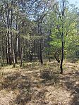 IMG_20240731_160344
