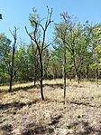 IMG_20240731_160500