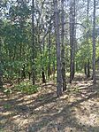 IMG_20240731_160513
