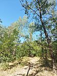IMG_20240731_160821