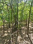 IMG_20240731_105008