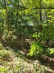 IMG_20240731_105235