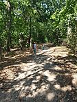IMG_20240731_150409