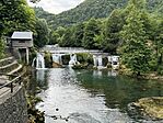 IMG_2643