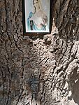 IMG_20240706_130725