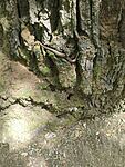 IMG_20240706_130708