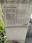 IMG_20240722_100507