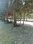 IMG_20240722_100626