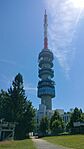 IMG20240727115947