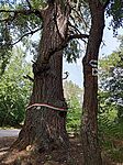 IMG_20240630_170019_285