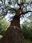 IMG_20240630_170053_610