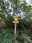 IMG_20240630_181352_523