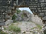 IMG_4518