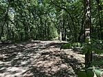 IMG_5079