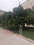 IMG_20240801_143658