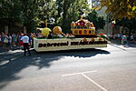 SAM_0410