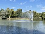 IMG_0241
