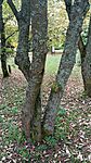 IMG_20240819_094118