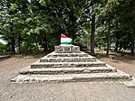 IMG_3810