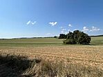 IMG_4222