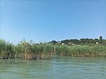 IMG_20240719_091712
