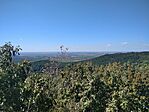 IMG_20240811_104446_1