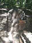 IMG_20240811_111502