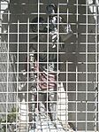 IMG_20240811_112918_1