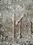 IMG_20240820_104016_1